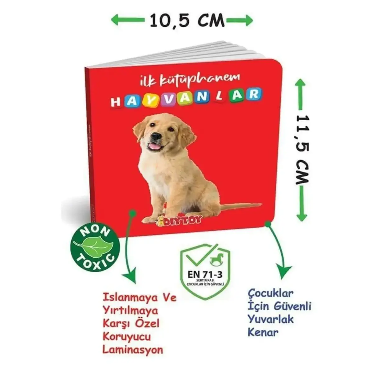 Bilişsel Gelişim Paketi