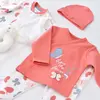 Bibaby Organik Hastane Çıkışı 10lu Wild Flowers Spring Blue