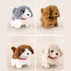 Toycraft Display Akıllı Köpek Sesli Pilli