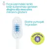 Chicco Diş Fırçası 3-6 Yaş Hippo-Panda 2'li