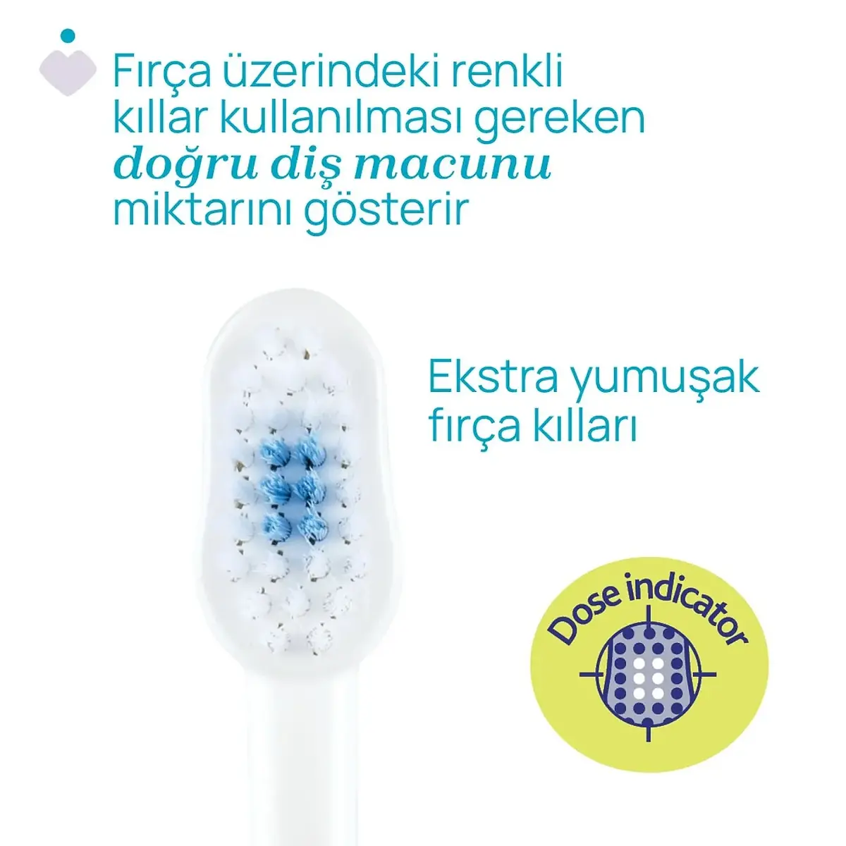 Chicco Diş Fırçası 3-6 Yaş Hippo-Panda 2'li