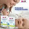 Hipp 3 Organik Combiotic Devam Sütü 350 gr x2