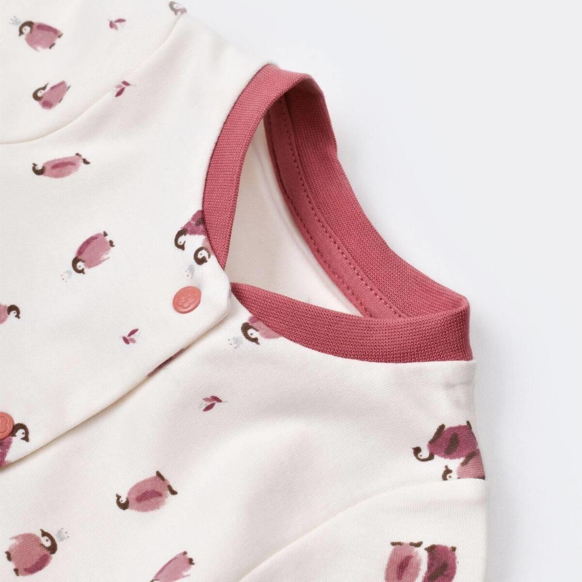 Bibaby Organik Zıbın Takımı Battaniyeli Tüllü Little Love Rose Dry