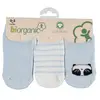 Bibaby Organik Çorap Soket 3lü Clever Boy Mavi