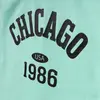 Winimo T-Shirt Chicago Baskılı Mint