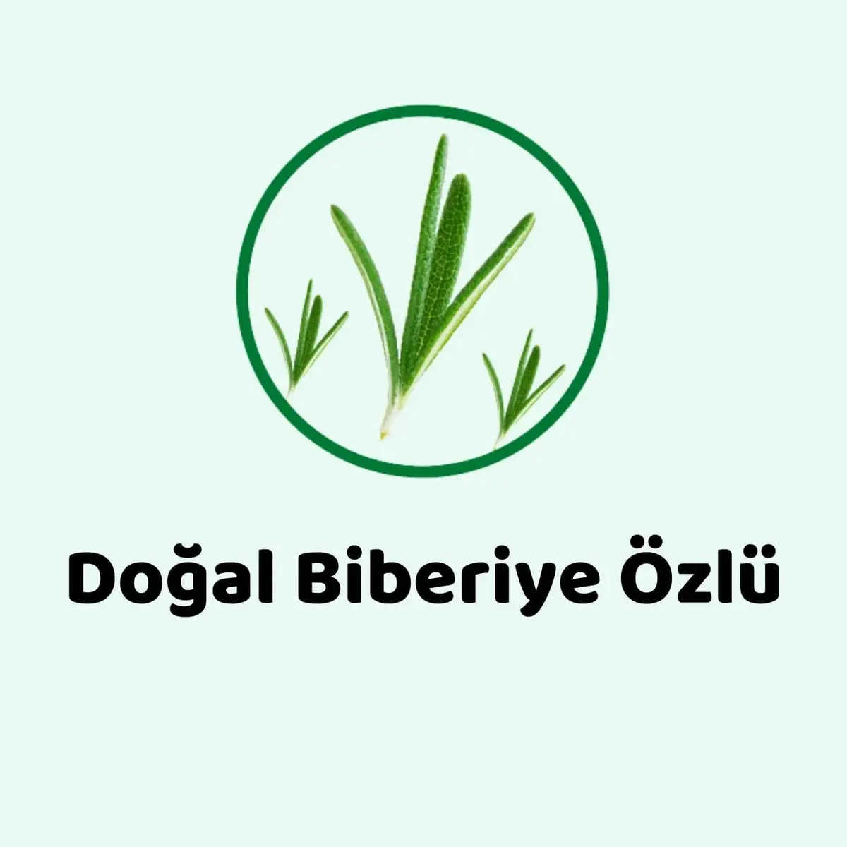 Evony Hijyenik Temizlik Mendili 3x15
