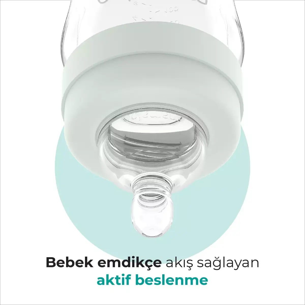 Mamajoo PP Biberon 160 ml & Gece ve Gündüz Biberon Emziği