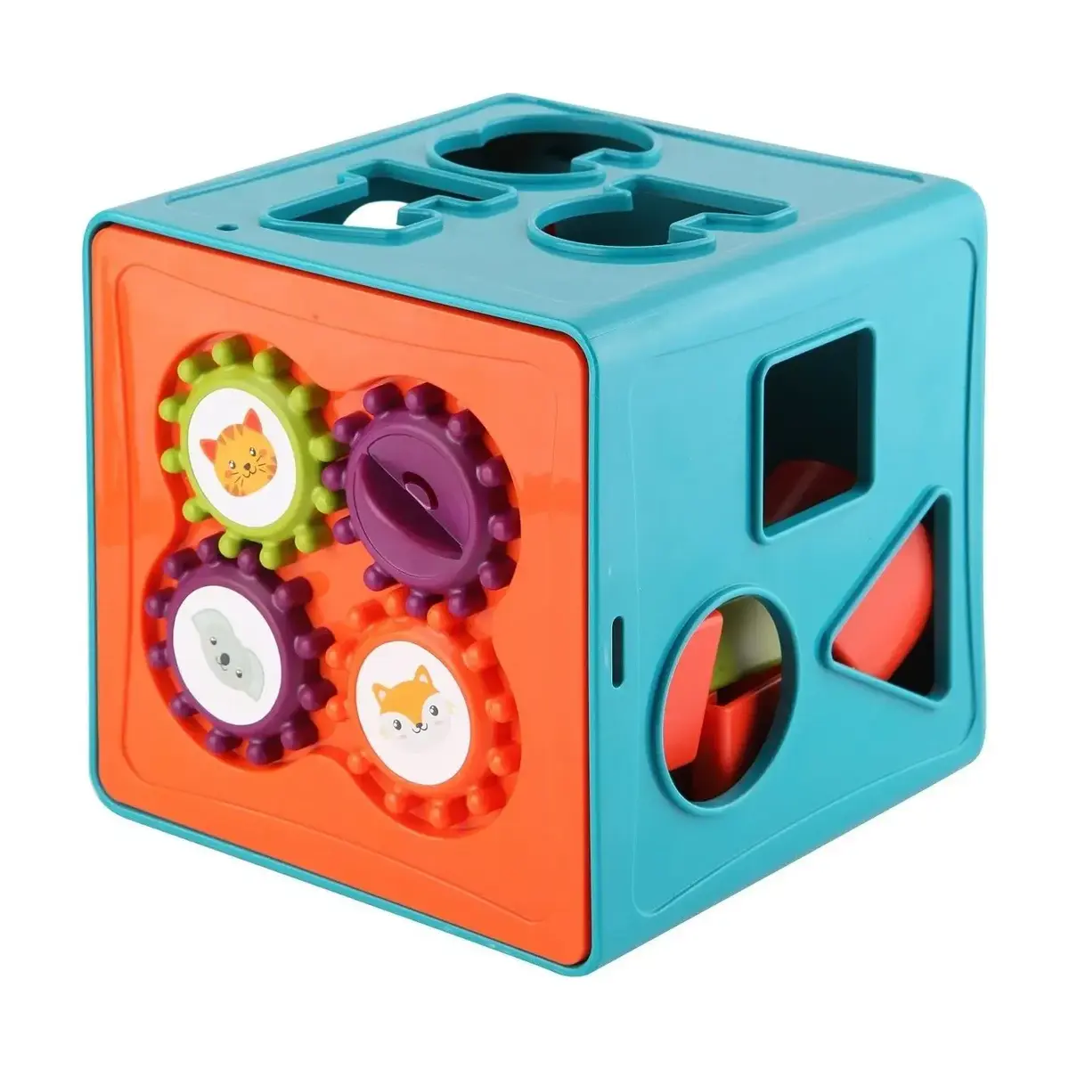 LC Eğitici Bultak Küp