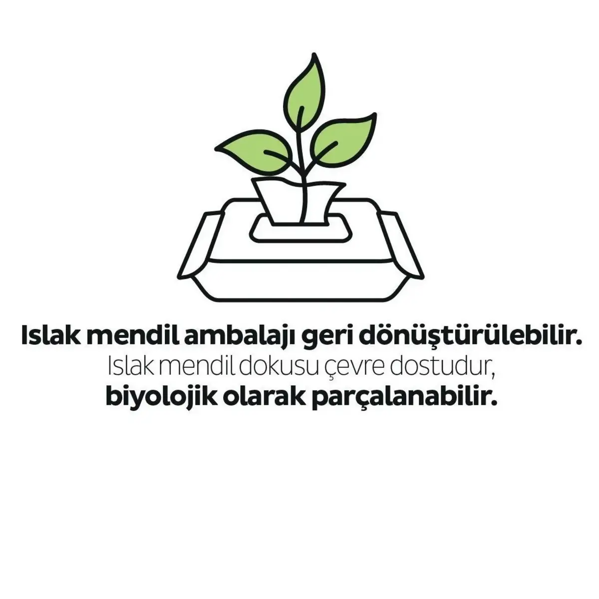 Sleepy Ecologic Islak Mendil 40lı