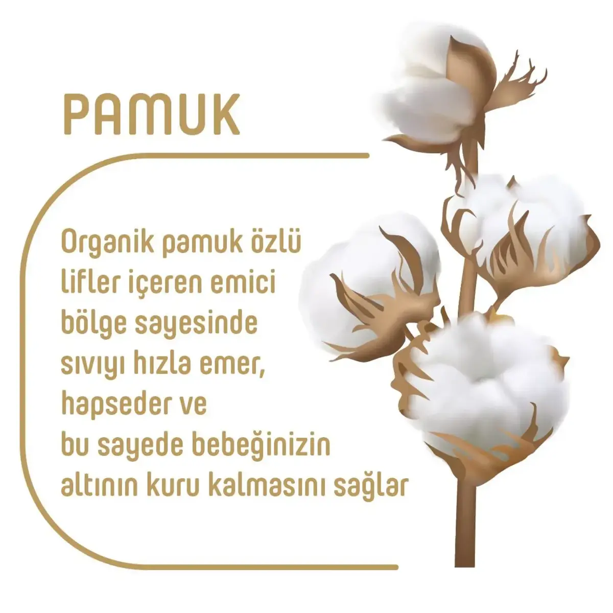 Pure Baby Organik Bebek Bezi 5 Beden Junior 76lı