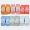 Bibaby Organik Dizlik Colors Pudra