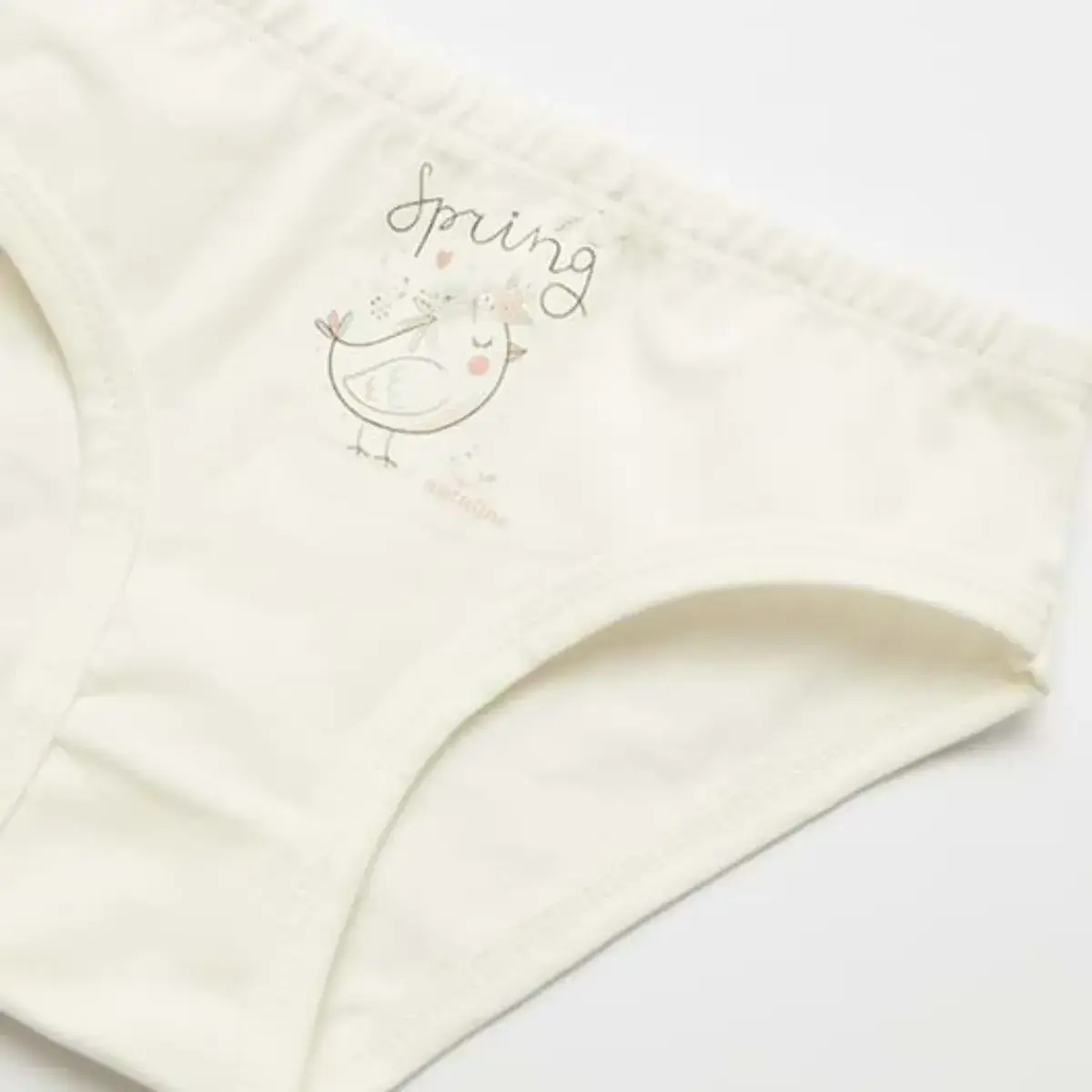 Natuline Organik Slip Likralı Spring Bird 2li Pembe - Ekru