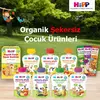 Hipp Organik Orman Meyveli Şeftalili Elma Püresi 100 gr x3 Hipp Organik Orman Meyveli Şeftalili Elma Püresi 100 gr x3