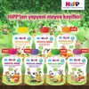 Hipp Organik Orman Meyveli Şeftalili Elma Püresi 100 gr x3
