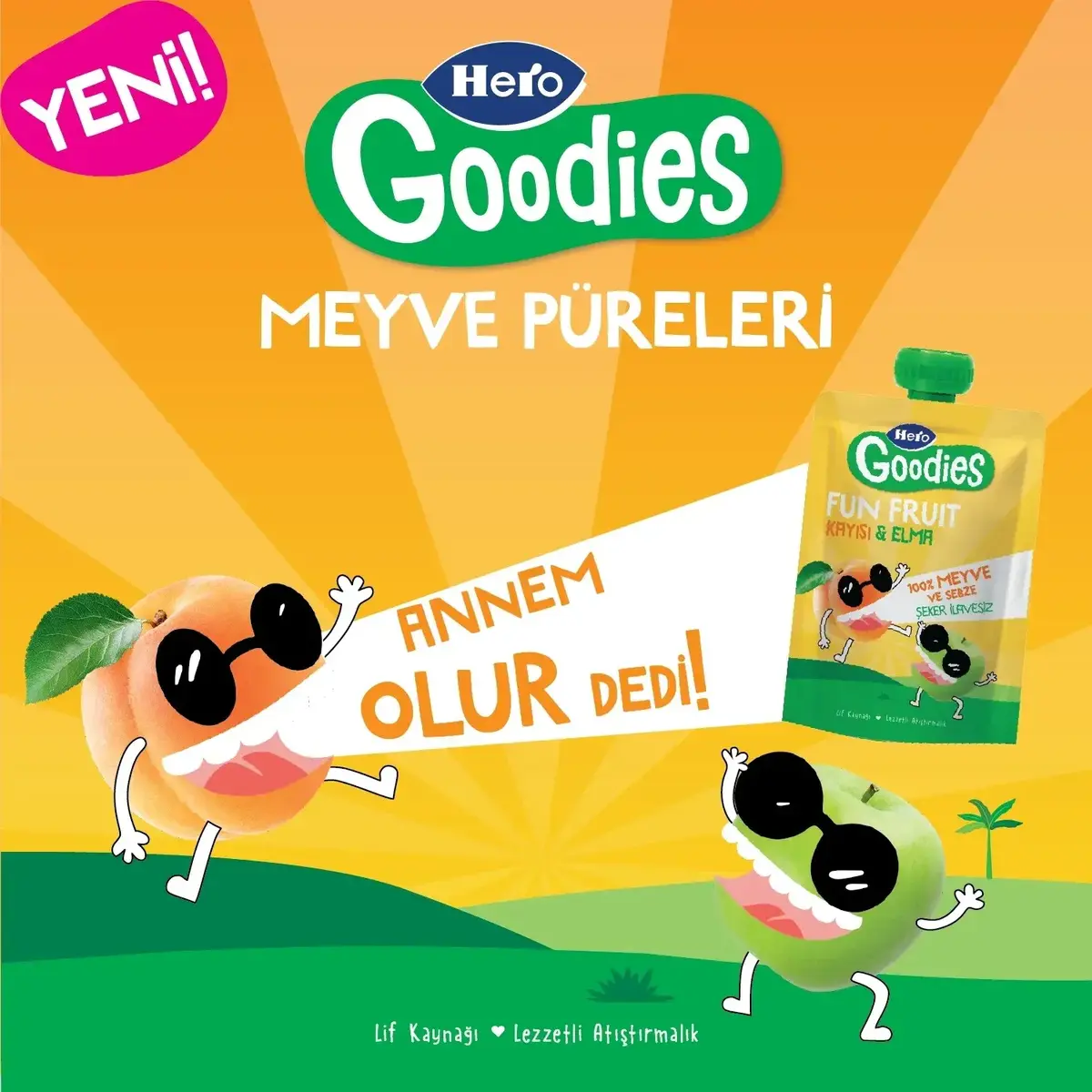 Hero Baby Goodies Kayısı-Elma Meyve Püresi 100 gr