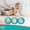 Prima Pants Külot Bebek Bezi 4 Beden Maxi 9-15 Kg 62li Fırsat Paketi