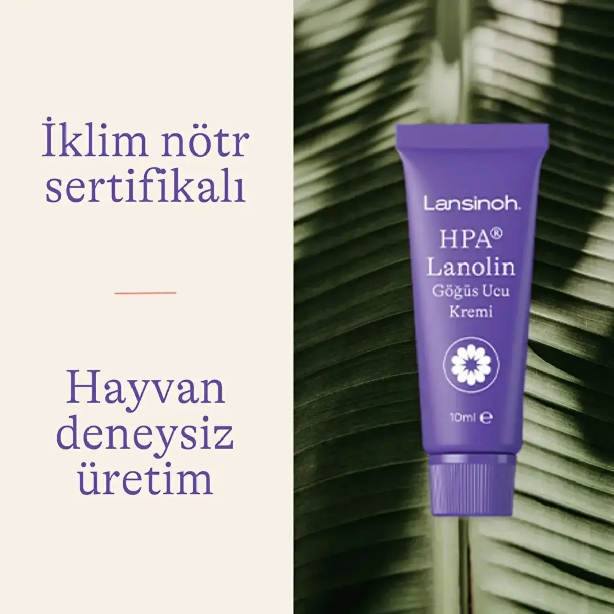 Lansinoh Lanolin Göğüs Ucu Kremi 10 ml