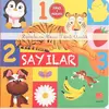 Sayılar