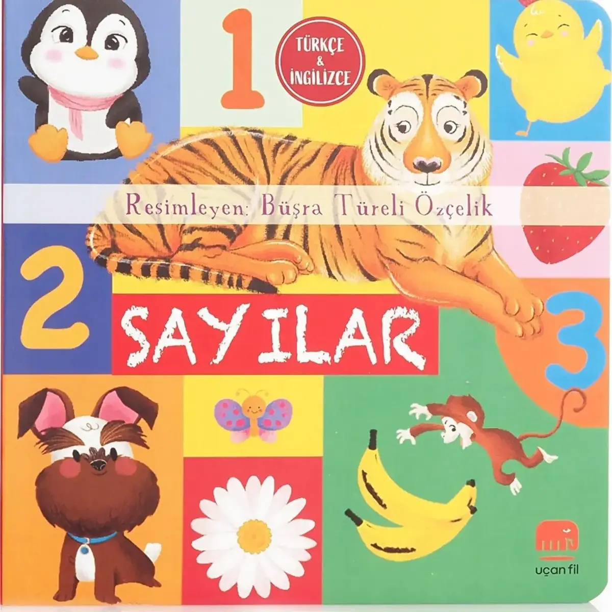 Sayılar
