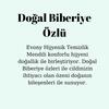 Evony Hijyenik Temizlik Mendili 3x15