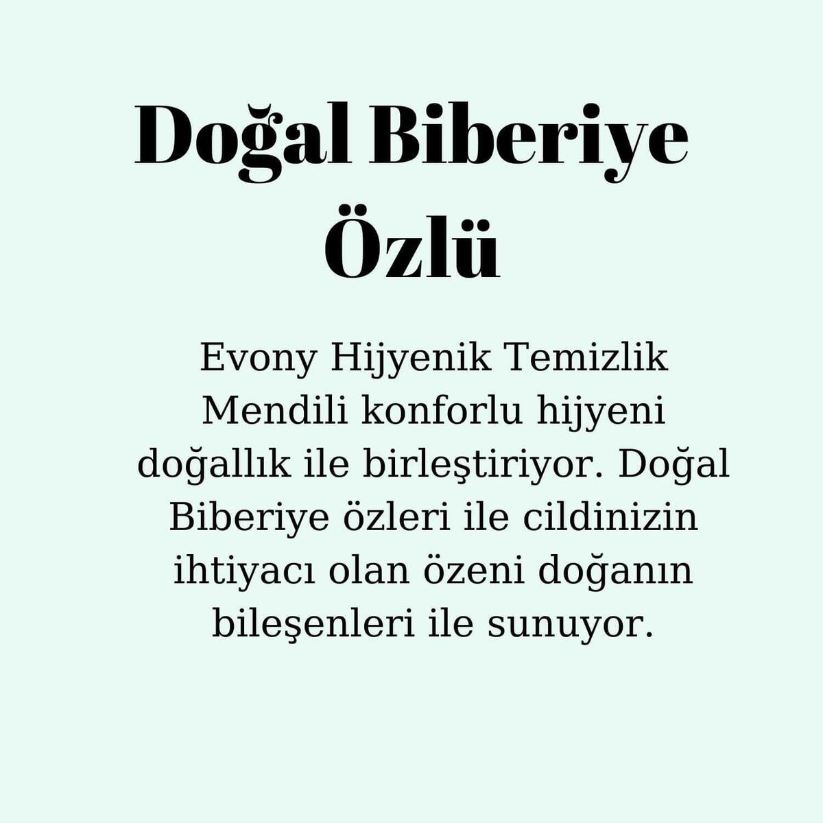Evony Hijyenik Temizlik Mendili 3x15