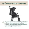 Chicco Echo Lite Baston Bebek Arabası Ebony