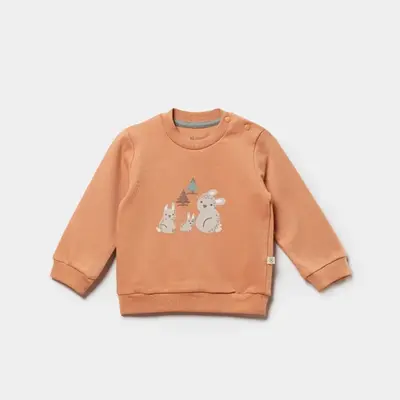 Bibaby Organik Sweatshirt Cool Lines Bunny 