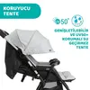 Chicco Ohlala İkiz Bebek Arabası Silver Cat