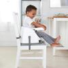 Ingenuity Baby Base Portatif Mama Sandalyesi Cashmere