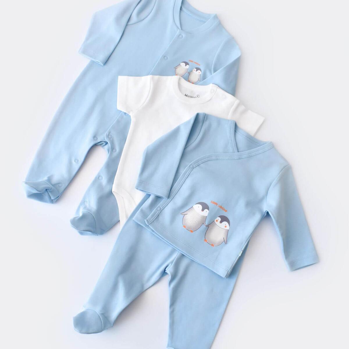 Bibaby Organik Hastane Çıkışı 10lu Hello New Penguins Mavi