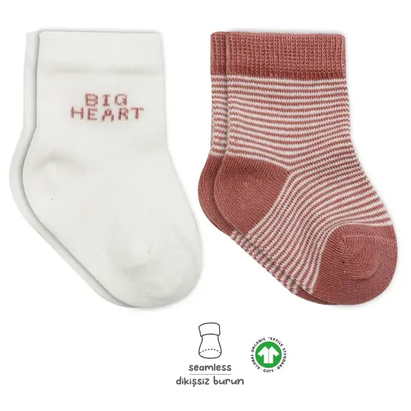 Bistyle Çorap Soket 2li Penye Big Heart Pudra
