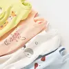 Bibaby Body Kısa Kol Summer Special Kayısı