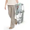 Ingenuity Swing & Go Taşınabilir Salıncak