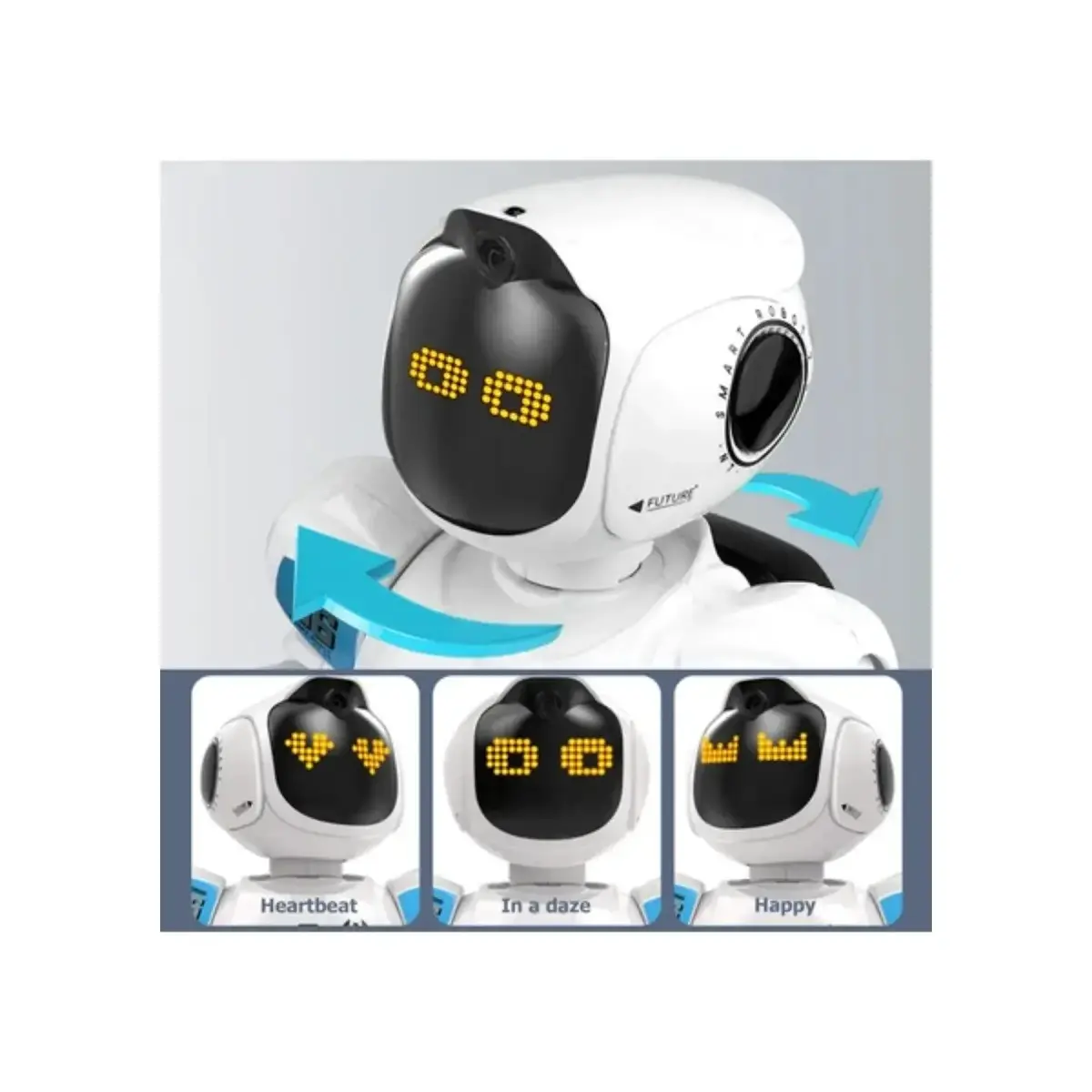 Çok Fonksiyonlu Akıllı Robot