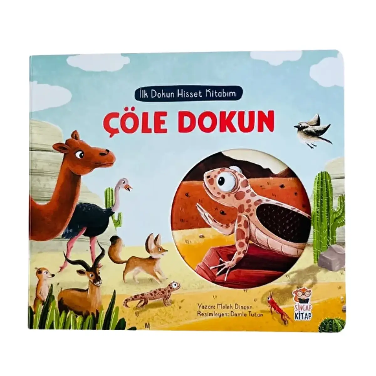 İlk Dokun Hisset Kitabım Çöle Dokun 