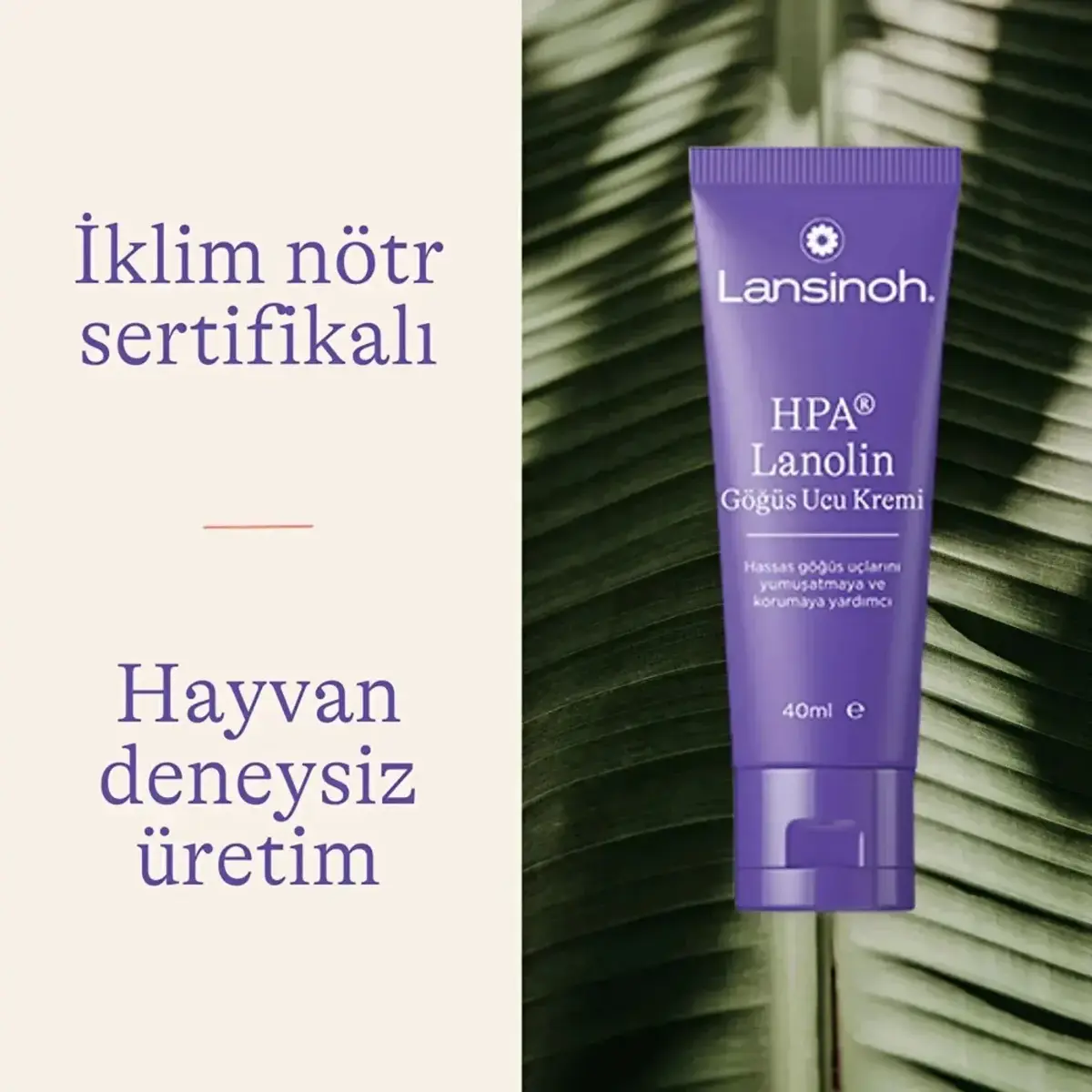 Lansinoh Lanolin Göğüs Ucu Kremi 40 ml x 2 Adet