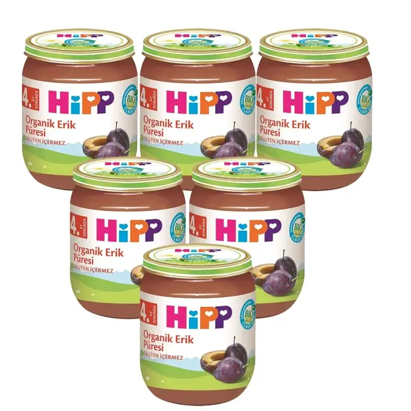 Hipp Organik Erik Püresi 125 gr x 6lı Paket