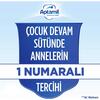 Aptamil 2 Devam Sütü 1200 Gr