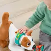Emeklemeyi ve Saymayı Öğreten Köpekçik