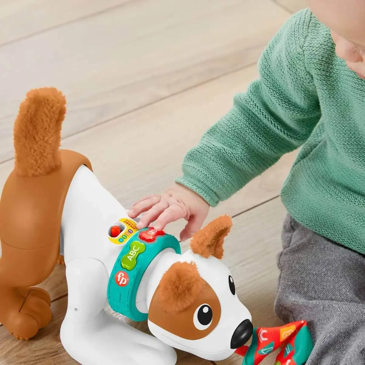 Emeklemeyi ve Saymayı Öğreten Köpekçik