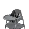 Pierre Cardin Cookie Mama Sandalyesi Silver Antrasit