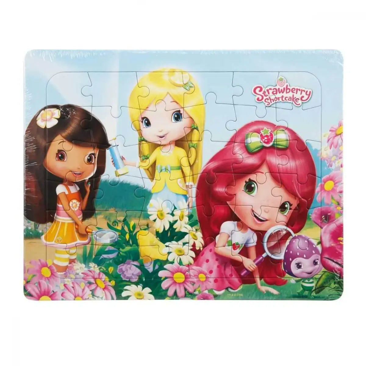 Frame Puzzle Strawberry Keşifte 36 Parça