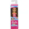 Barbie Chelsea Tatilde Bebekleri