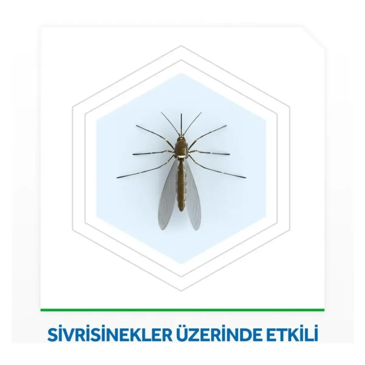 Raid Elektro Likit 45 Gece Yedek