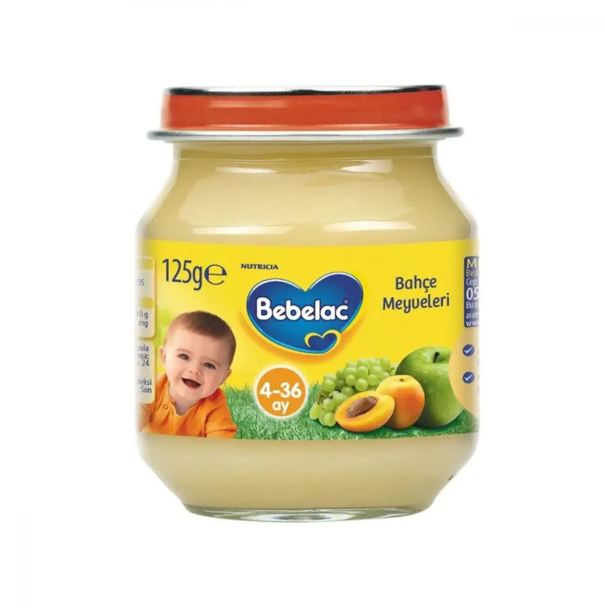 Bebelac Kavanoz Mamaları Bahçe Meyveleri 125 gr