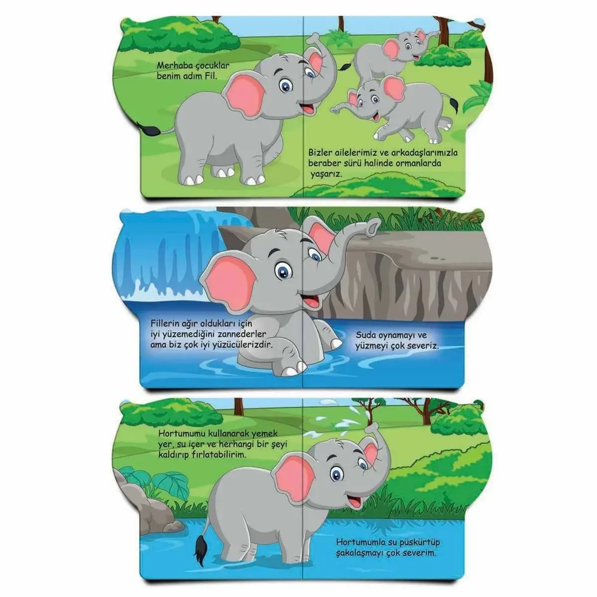 Ben Kimim Hayvanlar 6 lı Set