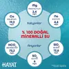Hayat Doğal Mineralli Bebek Suyu 6lı