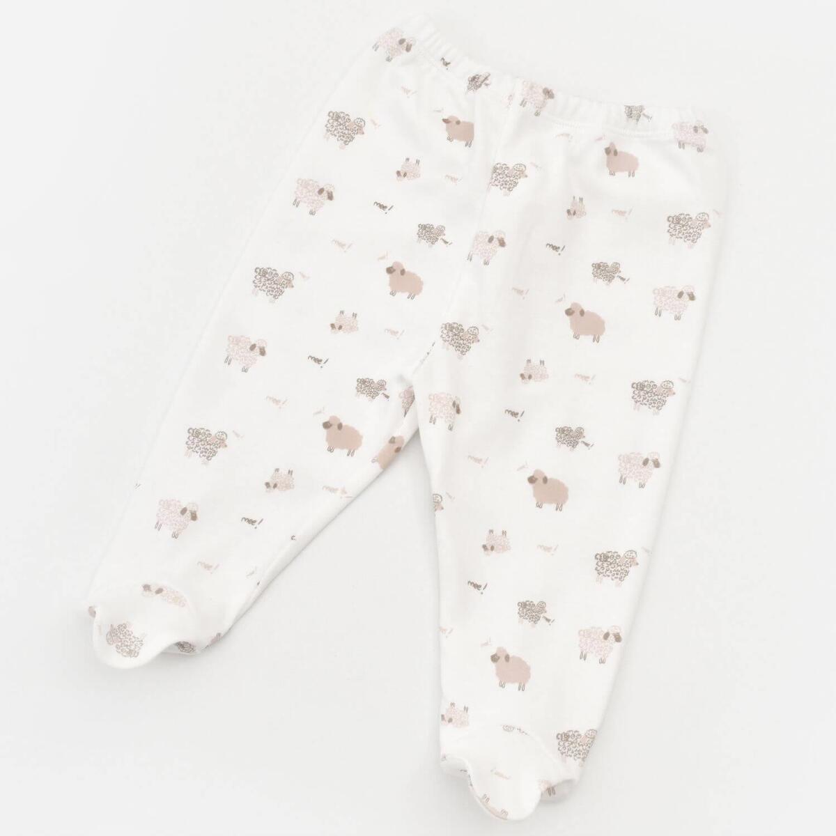 Bibaby Organik Hastane Çıkışı 5li Curly Sheep Bej