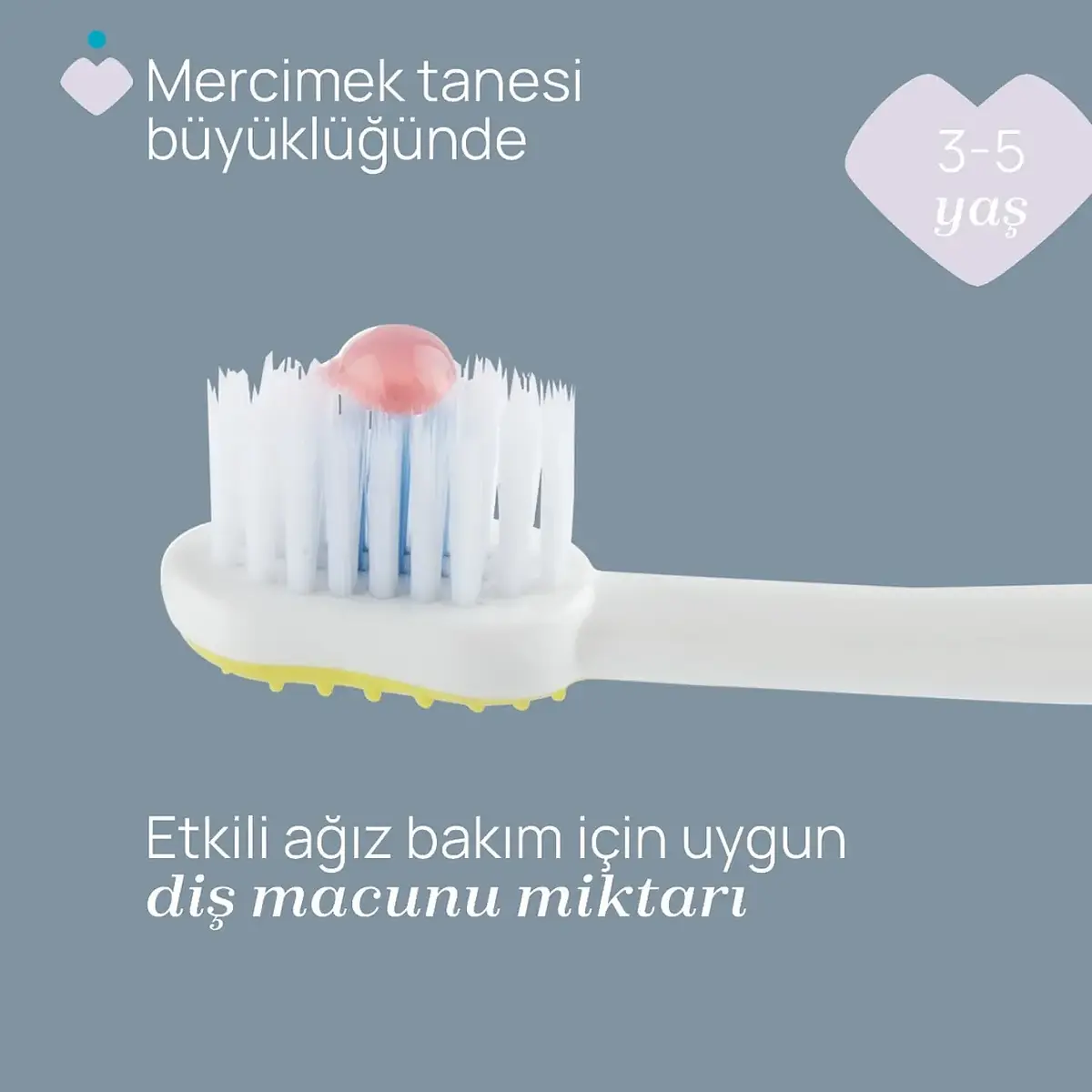 Chicco Diş Fırçası 3-6 Yaş Tiger-Panda 2'li