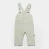 Bibaby Organik Salopet Koala Jungle Mint
